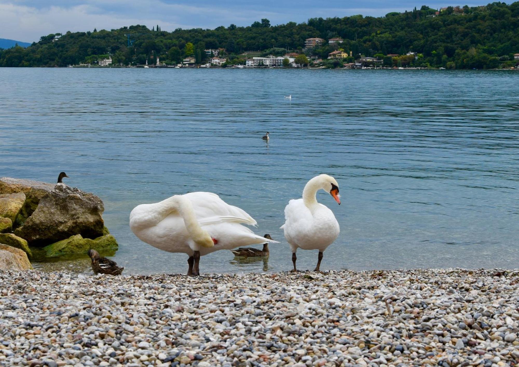 Villa Donne Del Lago Vittoria Salò Exteriör bild